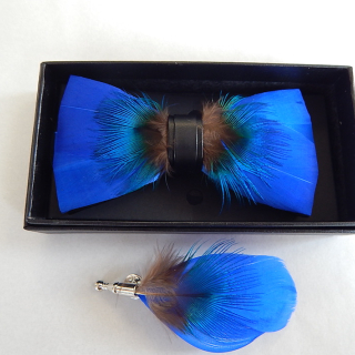 Fabulous Feather Bow Tie & Lapel Pin