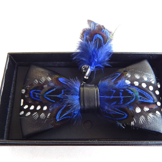 Sophisticated Feather Bow Tie and Lapel Pin