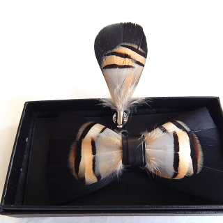 Very Stylish Feather Bow Tie and Lapel Pin