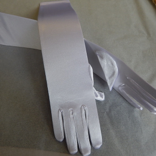 Elbow Length Silver White Gloves