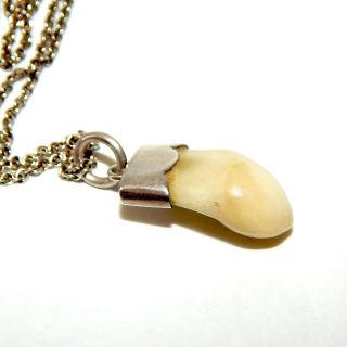 Sterling silver and Deer Tooth Necklace