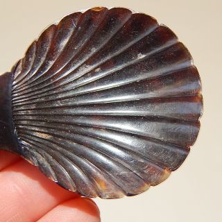 Rare Silver and tortoise shell Georgian Caddy Spoon