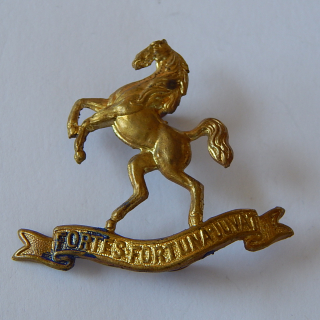 9th Mounted Rifles NZ Badge